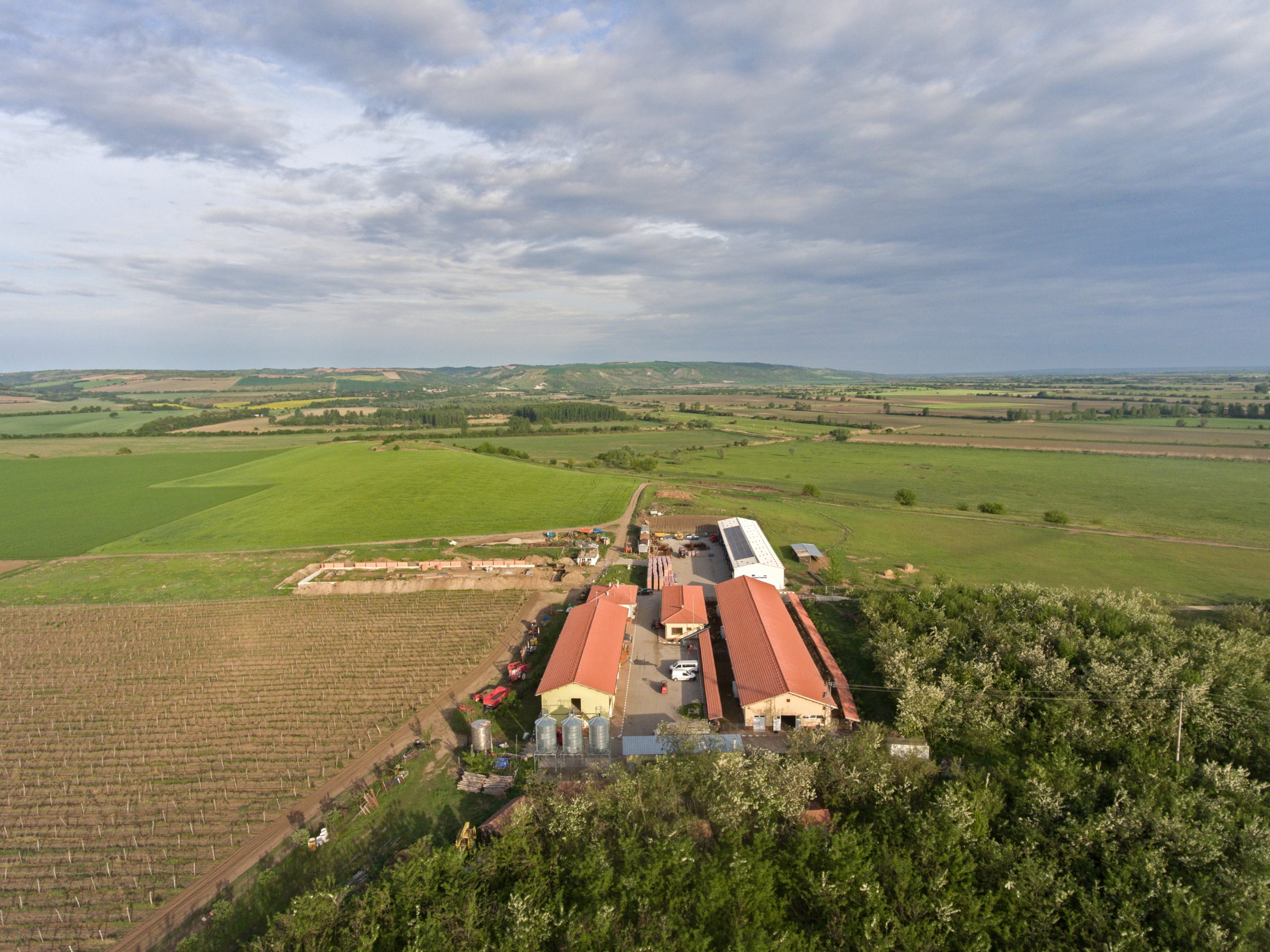 ферма багри